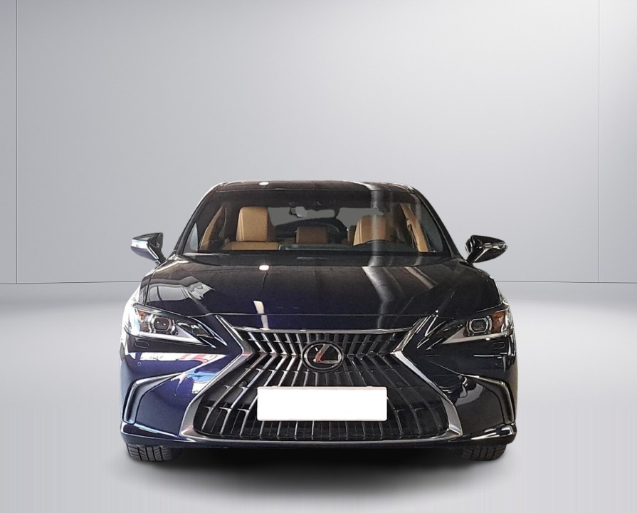 Lexus Seria ES Lexus ES 300h Business Edition - foto 8