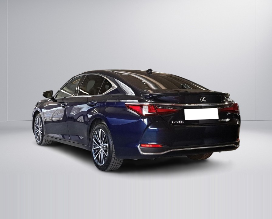 Lexus Seria ES Lexus ES 300h Business Edition (5)