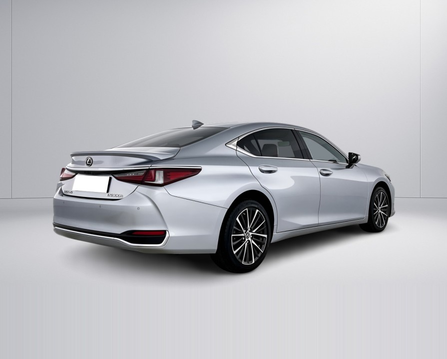 Lexus Seria ES 300h Business (3)