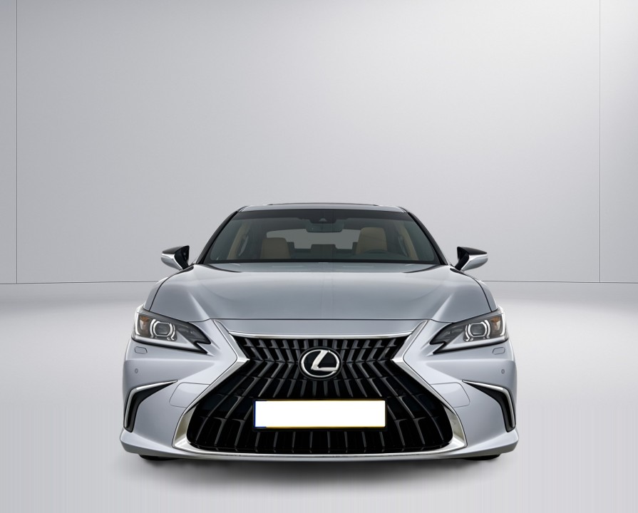 Lexus Seria ES 300h Business - foto 8