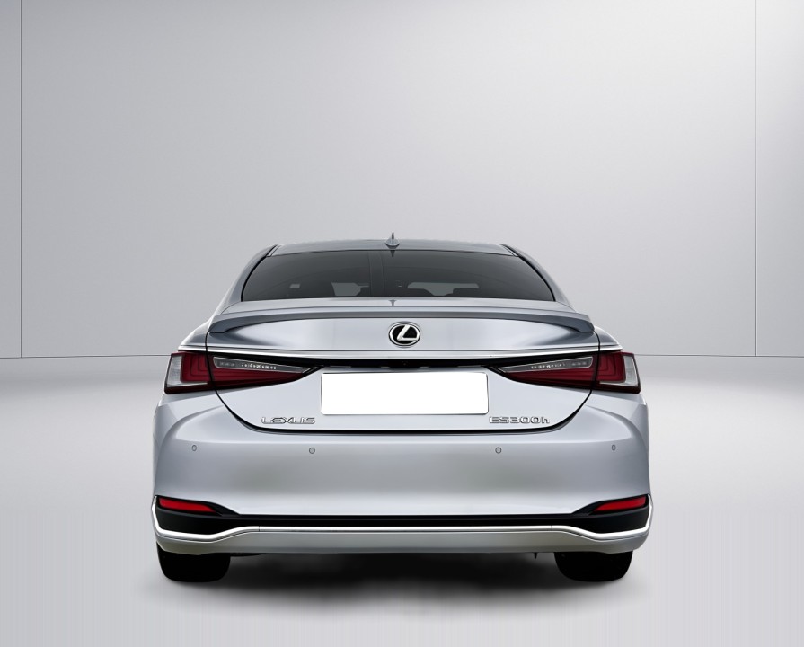 Lexus Seria ES 300h Business (4)