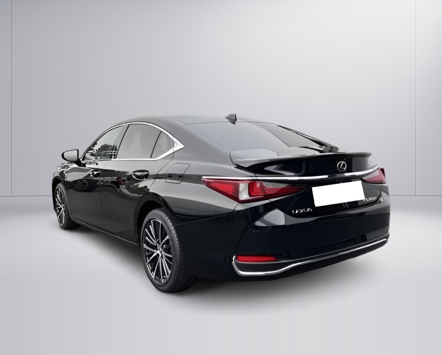 Lexus Seria ES 300h Business Line (5)