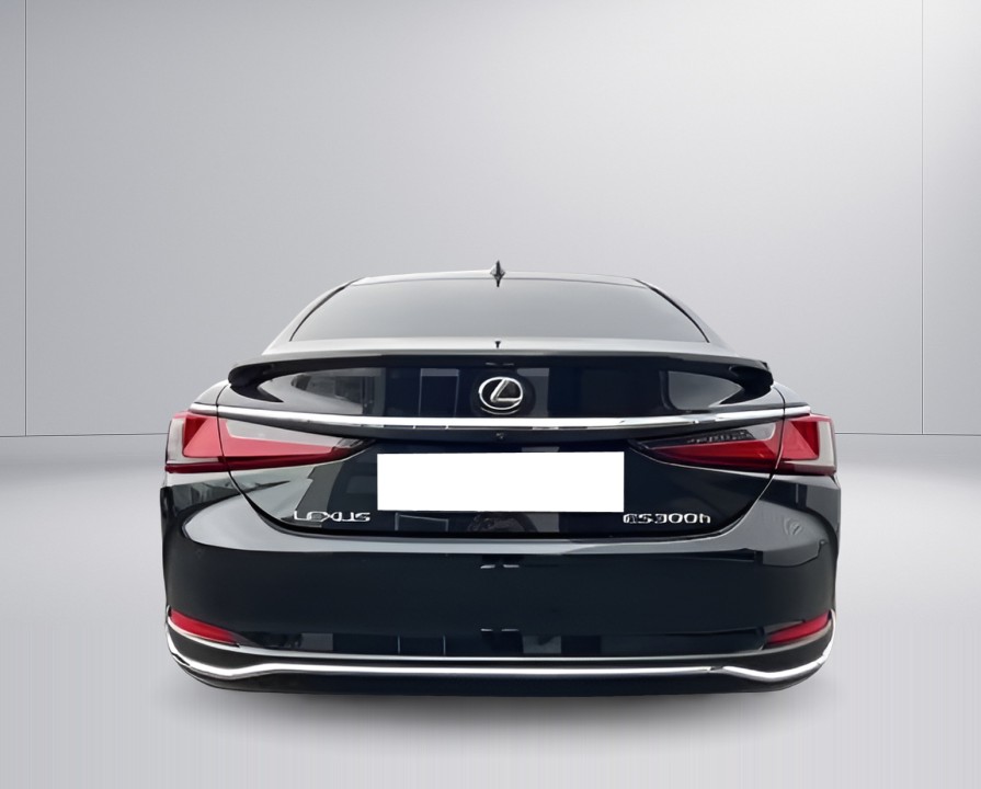 Lexus Seria ES 300h Business Line (4)