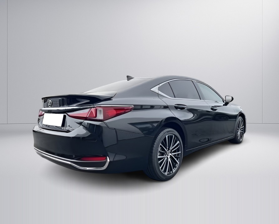 Lexus Seria ES 300h Business Line (3)