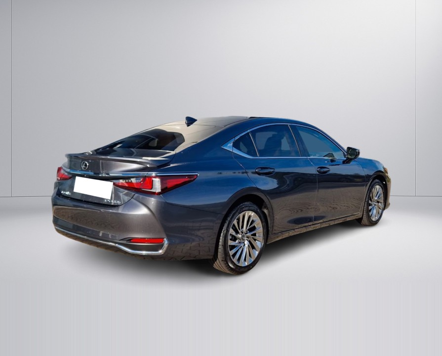 Lexus Seria ES 300h Luxury Line (3)