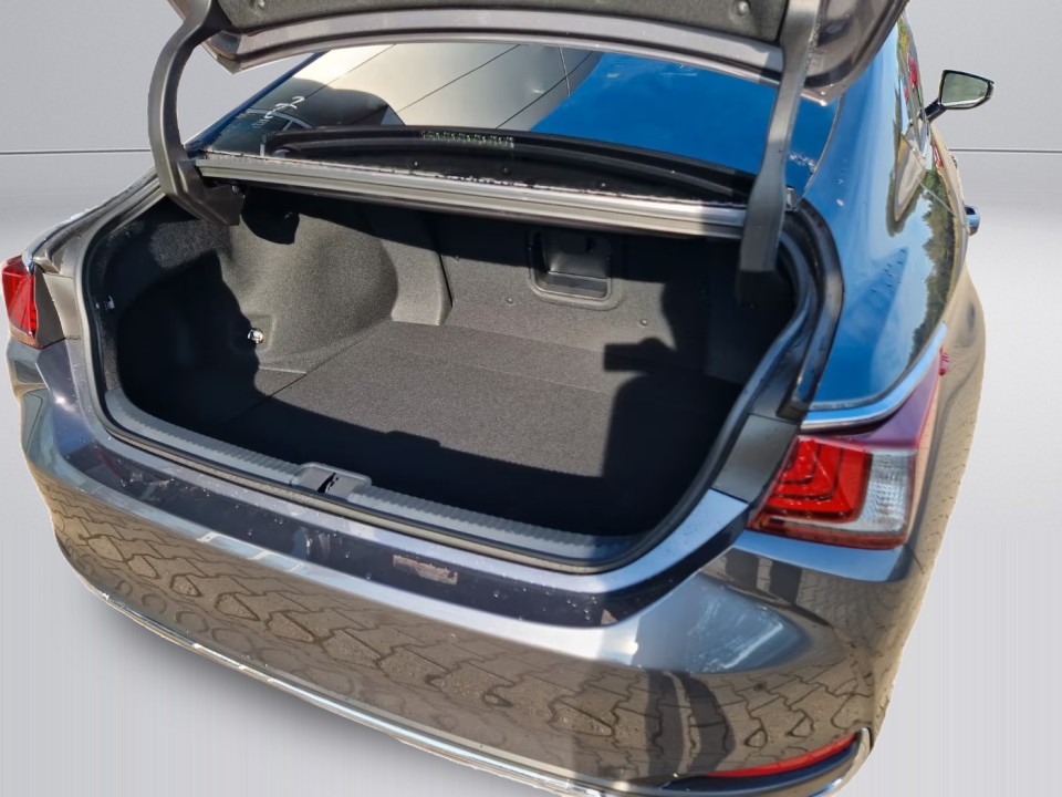 Lexus Seria ES 300h Luxury Line - foto 15