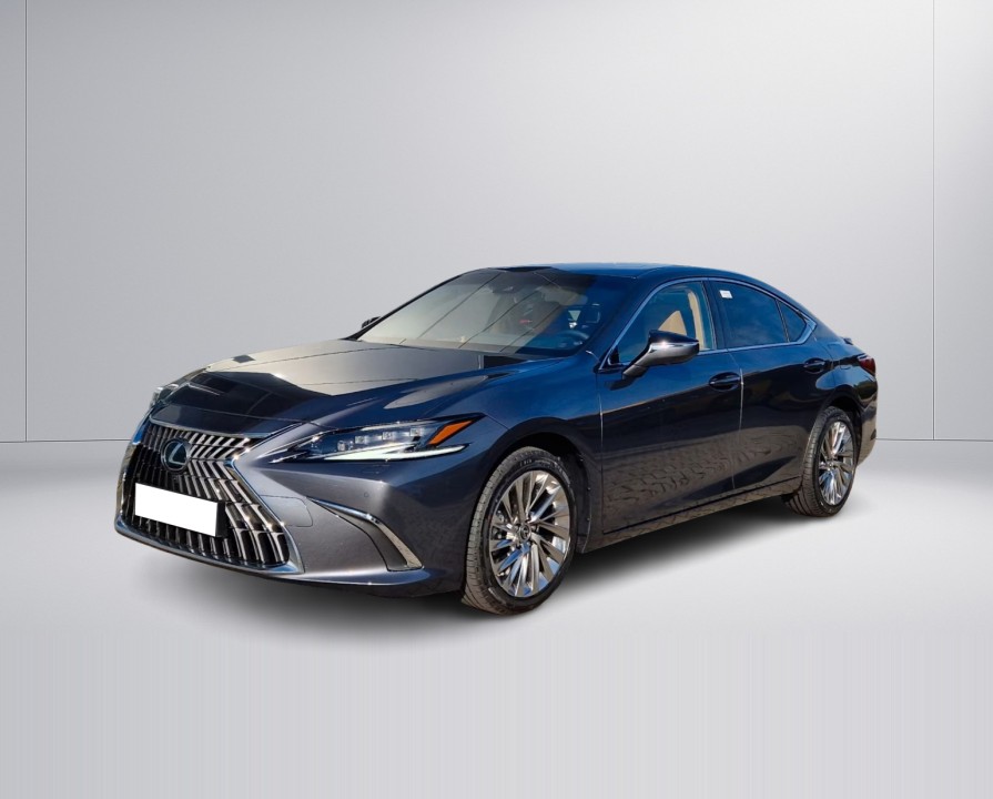 Lexus Seria ES 300h Luxury Line