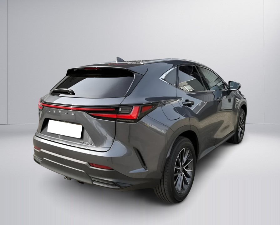 Lexus Seria NX 450h+ (3)