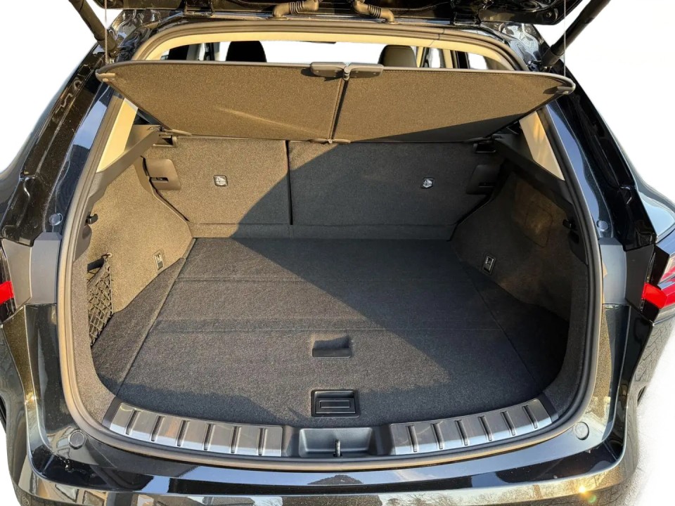 Lexus Seria NX 450h+ AWD - foto 25