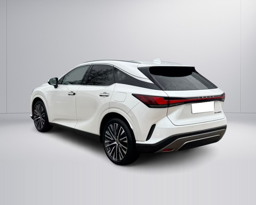 Lexus Seria RX 450h+ AWD Executive Line (5)