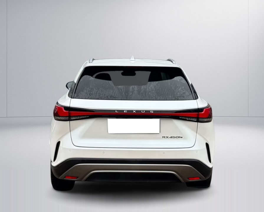 Lexus Seria RX 450h+ AWD Executive Line (4)