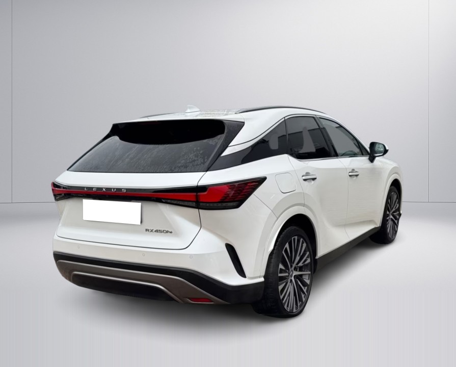 Lexus Seria RX 450h+ AWD Executive Line (3)