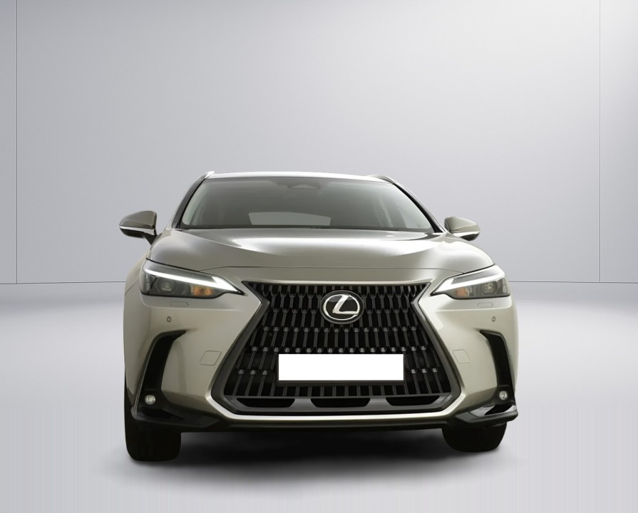 Lexus Seria NX 450h+ AWD (2)