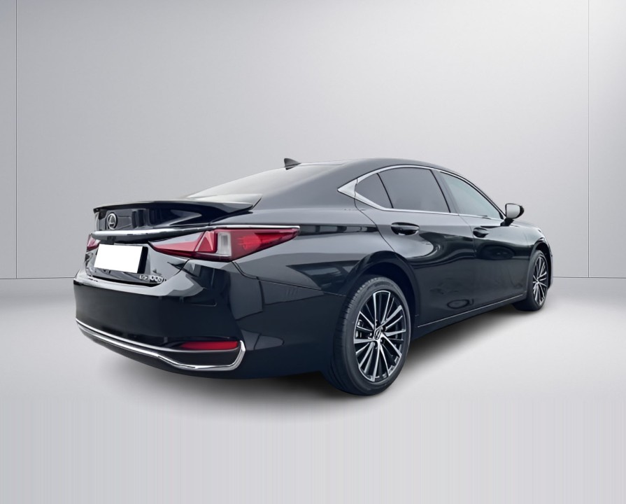 Lexus Seria ES 300h Business Line (3)