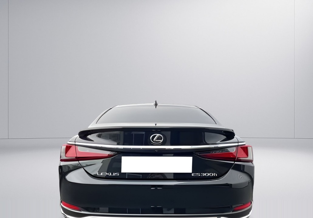 Lexus Seria ES 300h Business Line (4)