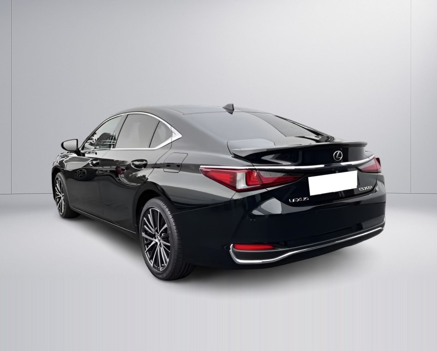 Lexus Seria ES 300h Business Line (5)
