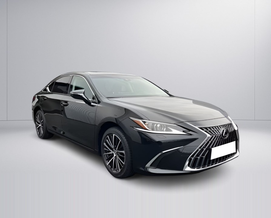 Lexus Seria ES 300h Business Line