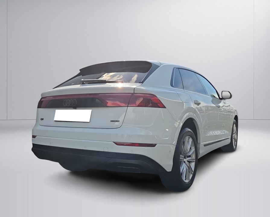 Audi Q8 50TDI quattro tiptronic S-Line (4)