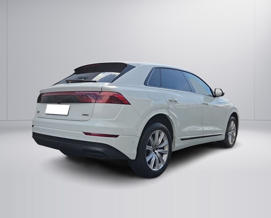 Audi Q8 50TDI quattro tiptronic S-Line (3)