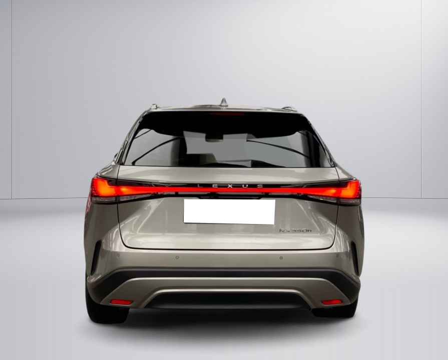 Lexus Seria RX 350h Business Line (4)