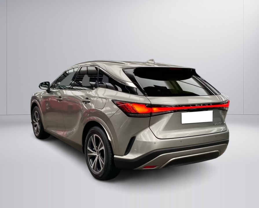 Lexus Seria RX 350h Business Line (5)