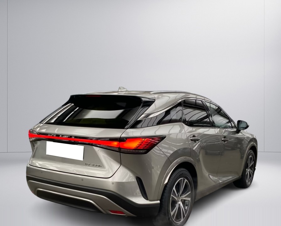 Lexus Seria RX 350h Business Line (3)