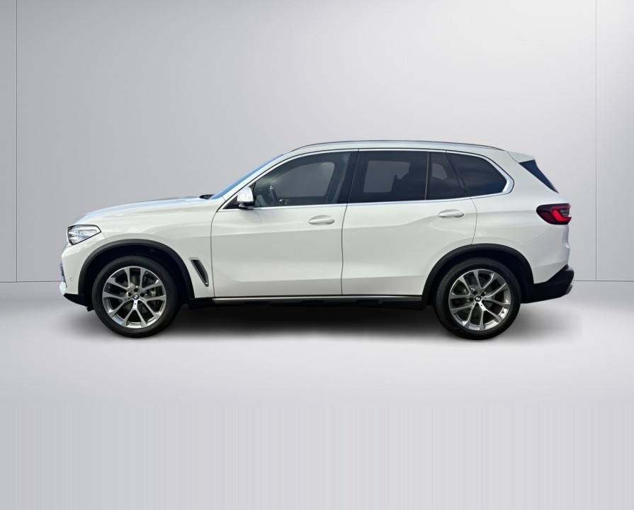 BMW X5 xDrive30d xLine (5)