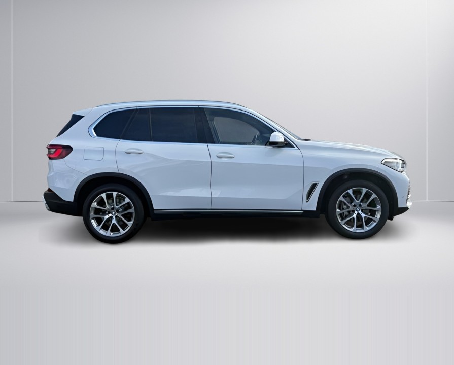 BMW X5 xDrive30d xLine (2)