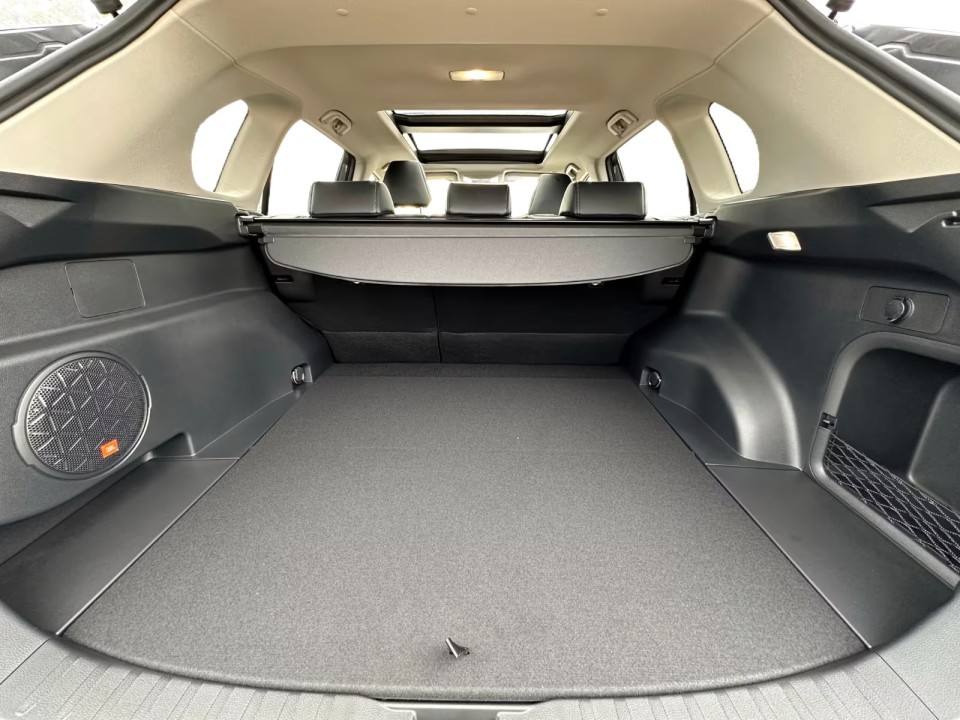 Toyota RAV4 HEV FWD Luxury - foto 20