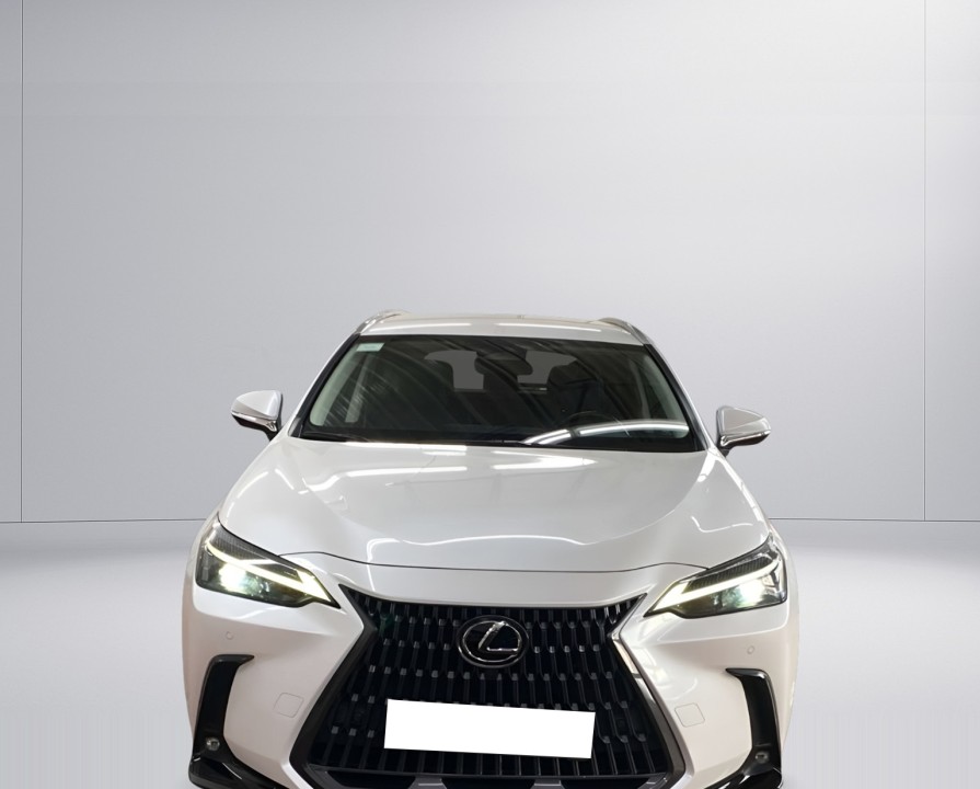 Lexus Seria NX 450h+ Business (3)