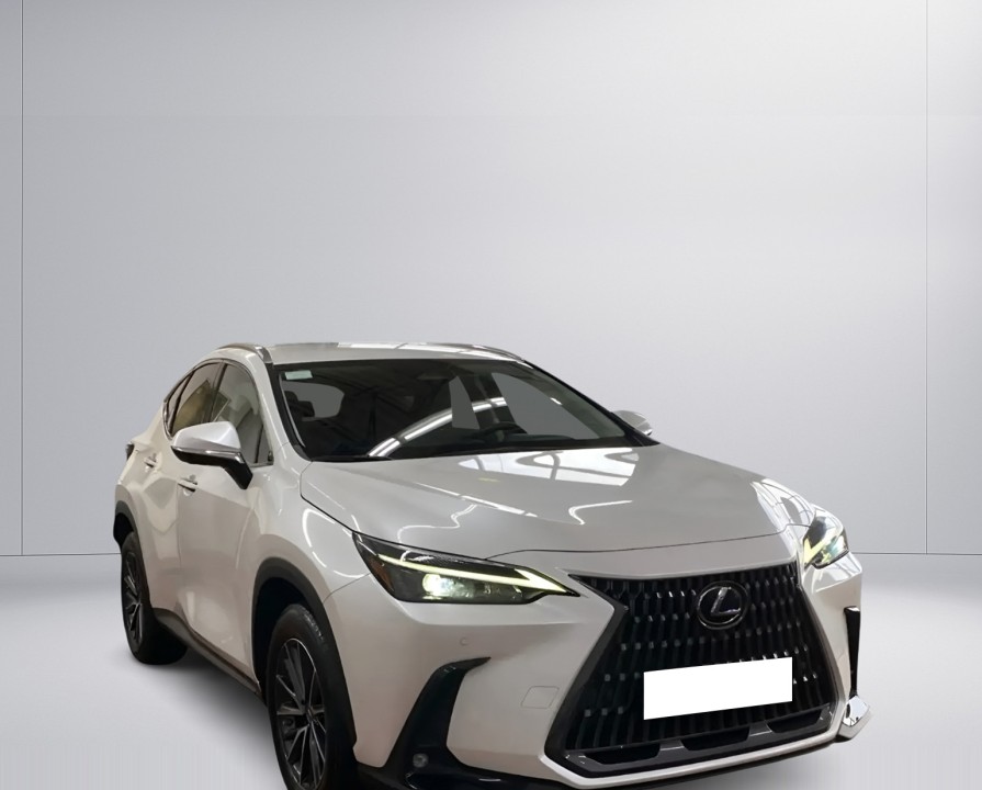 Lexus Seria NX 450h+ Business (4)
