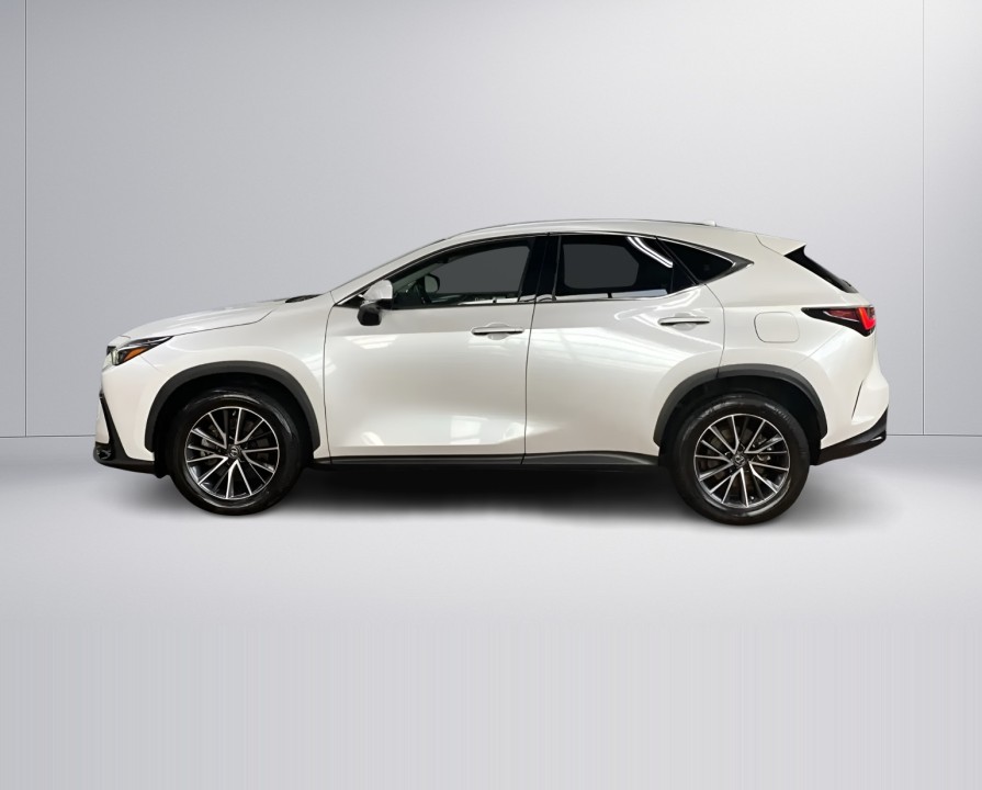 Lexus Seria NX 450h+ Business (2)