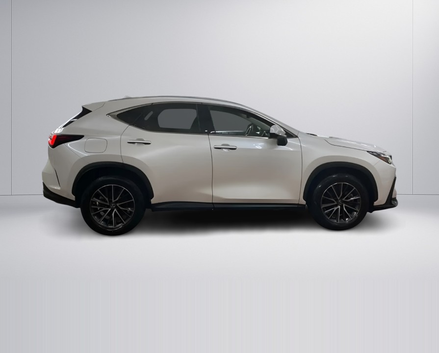Lexus Seria NX 450h+ Business (5)