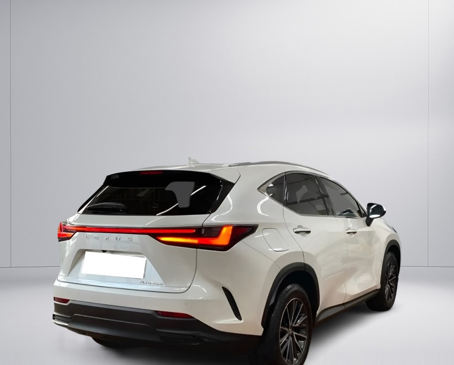 Lexus Seria NX 450h+ Business - foto 6