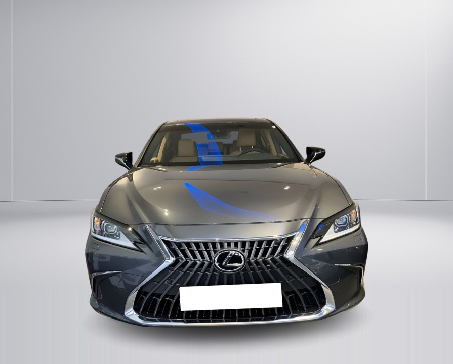 Lexus Seria ES 300h 35th Edition (2)