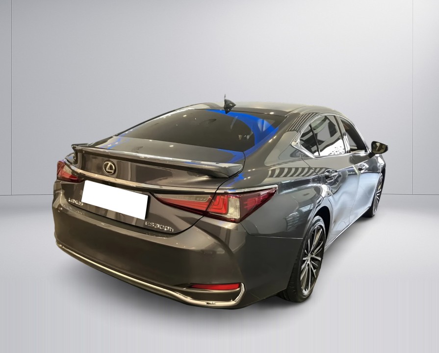 Lexus Seria ES 300h 35th Edition (4)