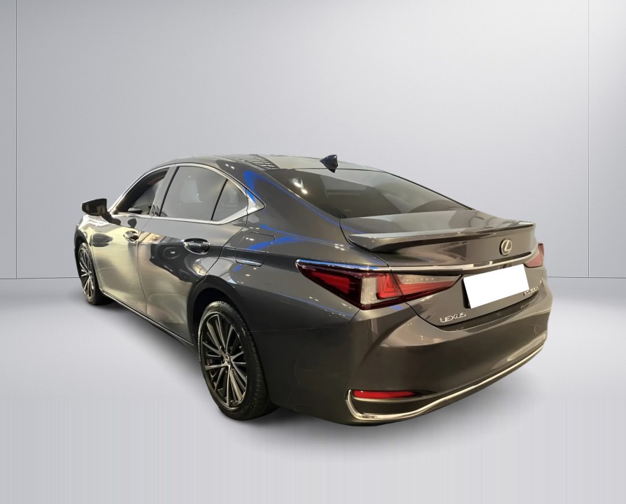 Lexus Seria ES 300h 35th Edition (5)