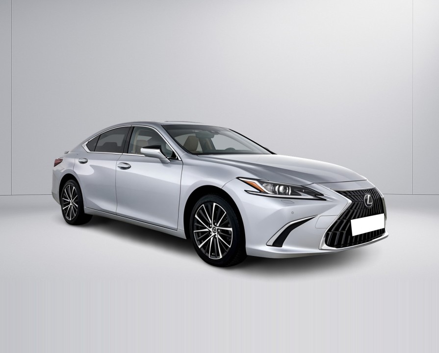 Lexus Seria ES 300h Business Line (1)
