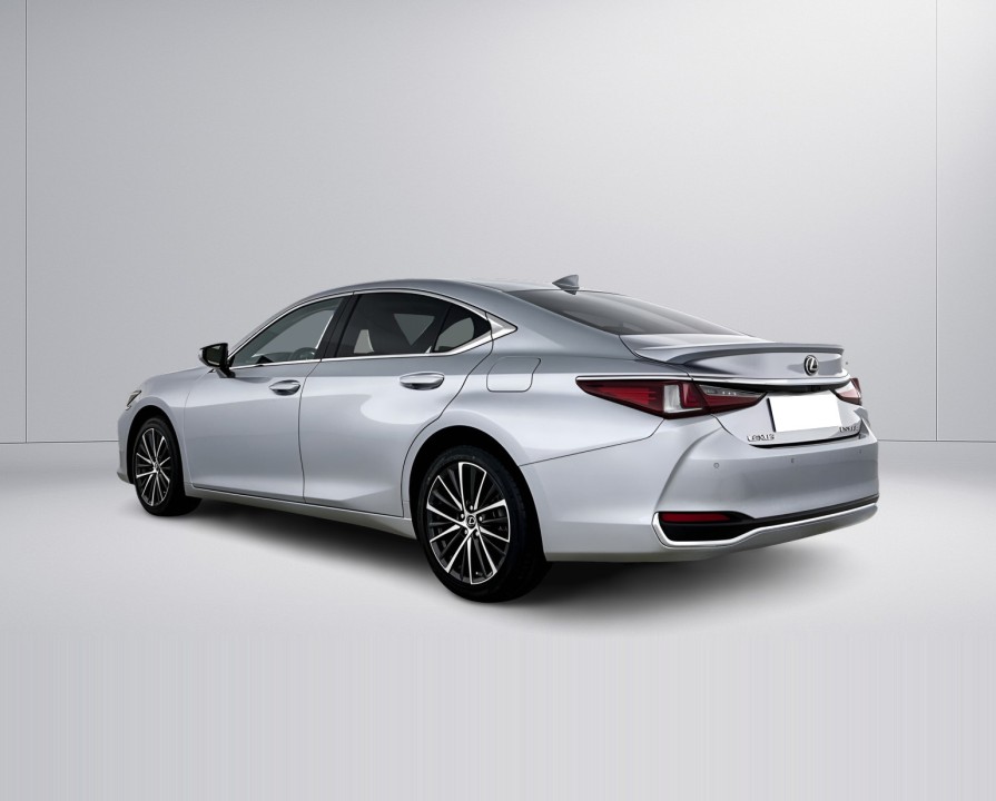 Lexus Seria ES 300h Business Line (5)