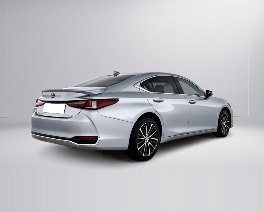 Lexus Seria ES 300h Business Line (3)