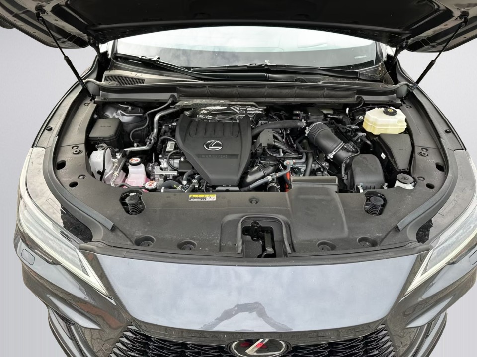 Lexus Seria RX 500h AWD F-Sport - foto 12