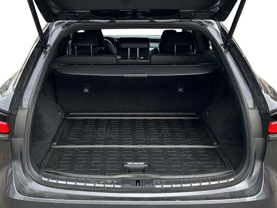 Lexus Seria RX 500h AWD F-Sport - foto 13