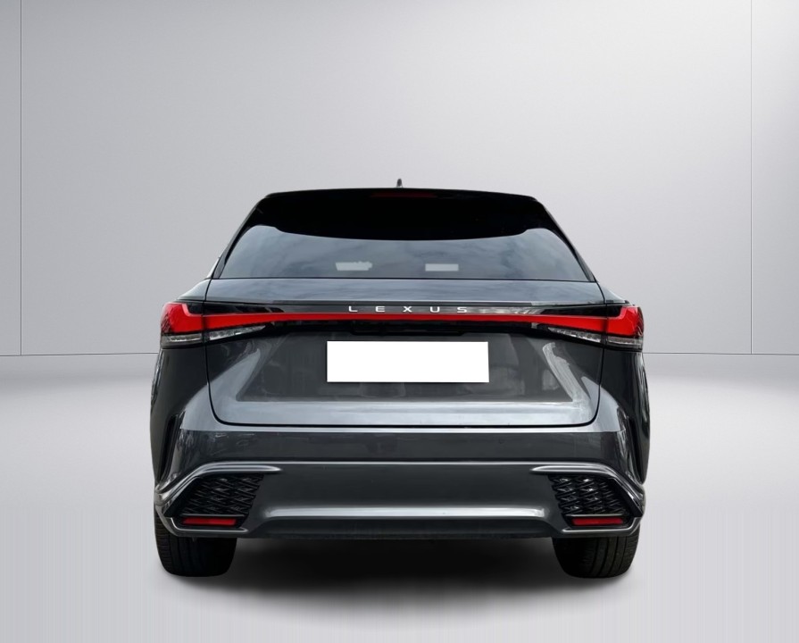 Lexus Seria RX 500h AWD F-Sport (5)