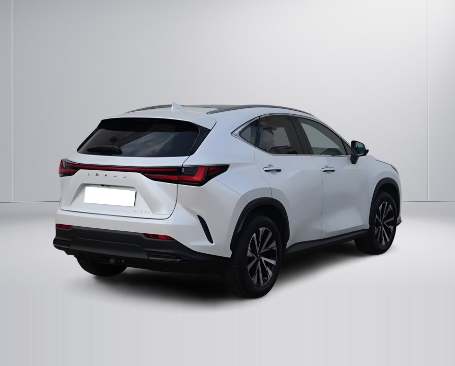 Lexus Seria NX 350h AWD Executive Line (3)