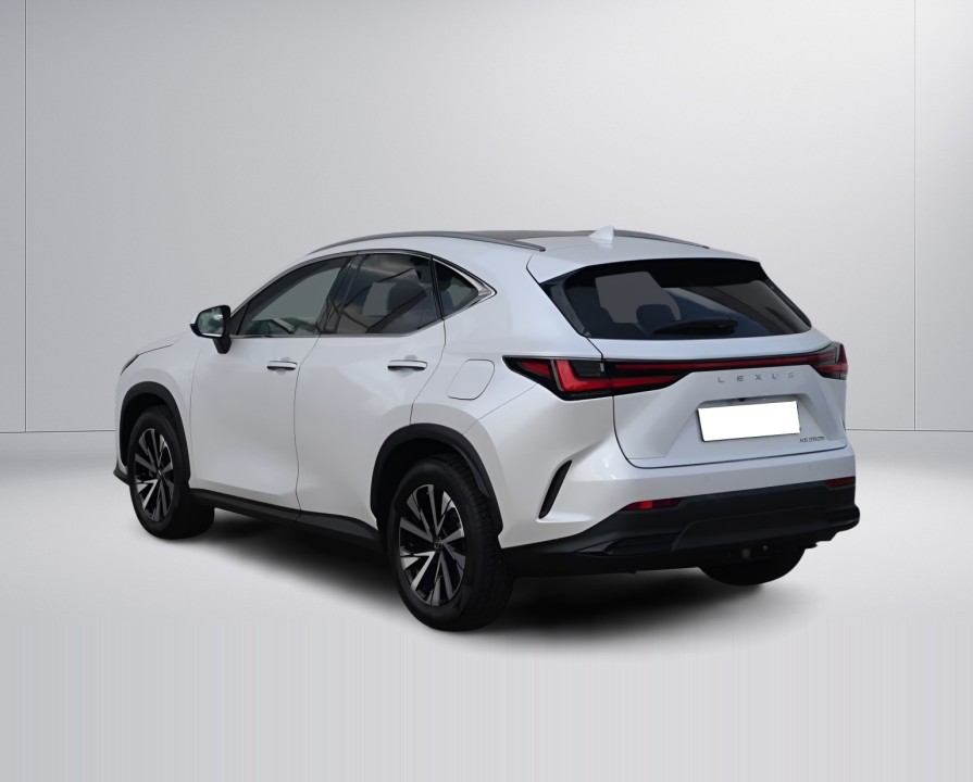Lexus Seria NX 350h AWD Executive Line (5)