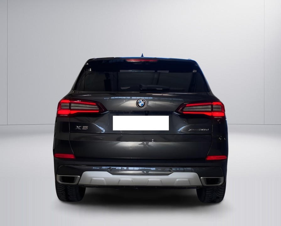 BMW X5 xDrive30d xLine (3)