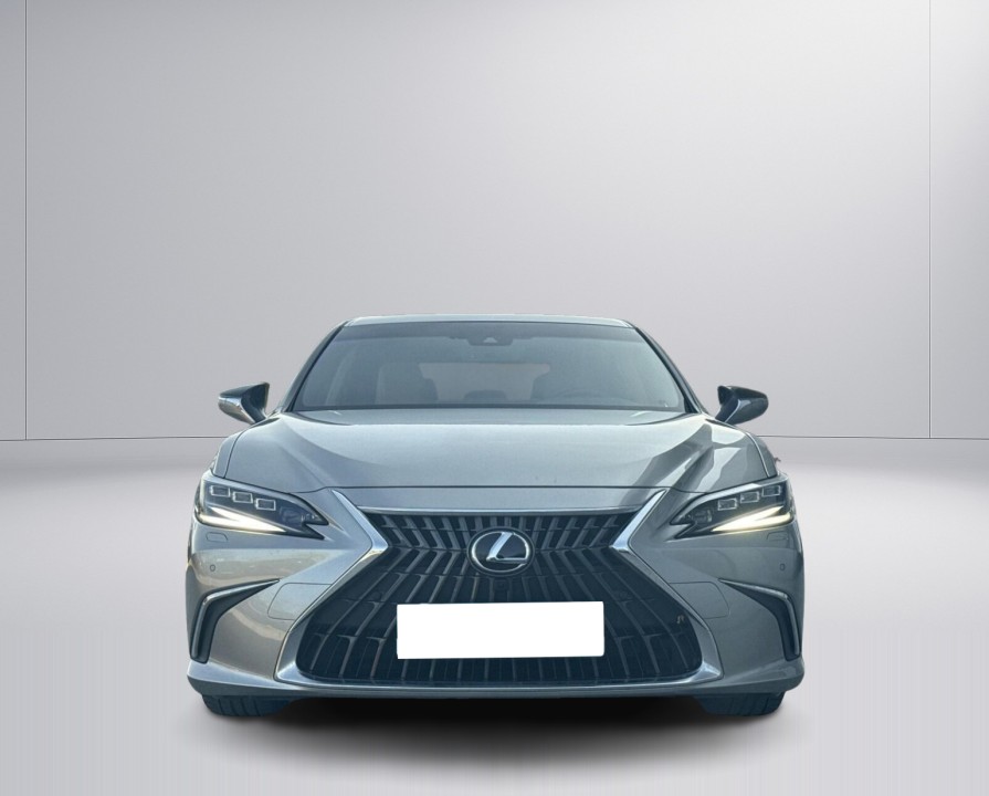 Lexus Seria ES 300h Omotenashi - foto 9