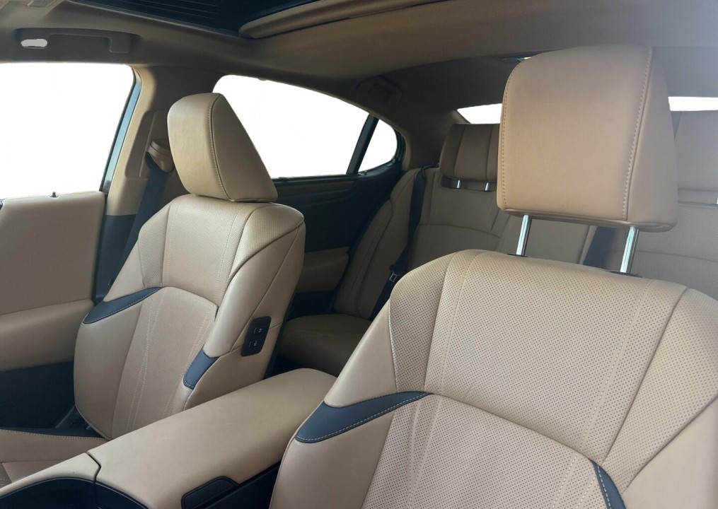 Lexus Seria ES 300h Omotenashi - foto 10