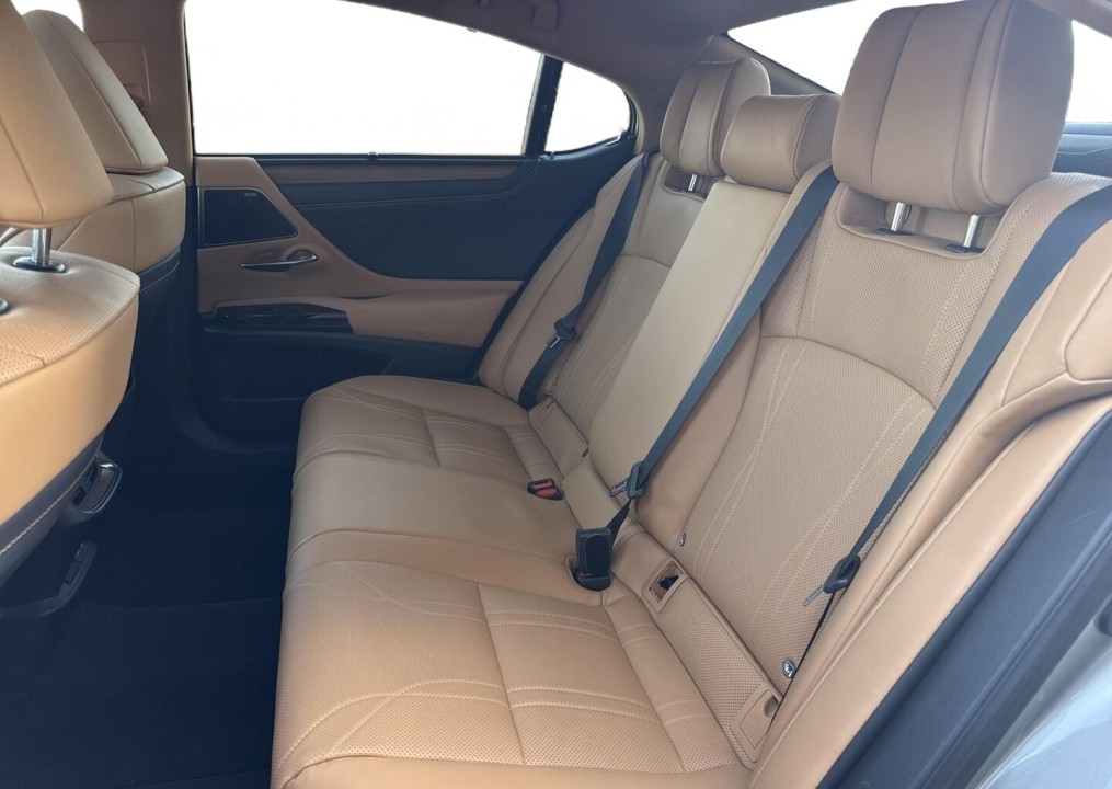 Lexus Seria ES 300h Omotenashi - foto 11