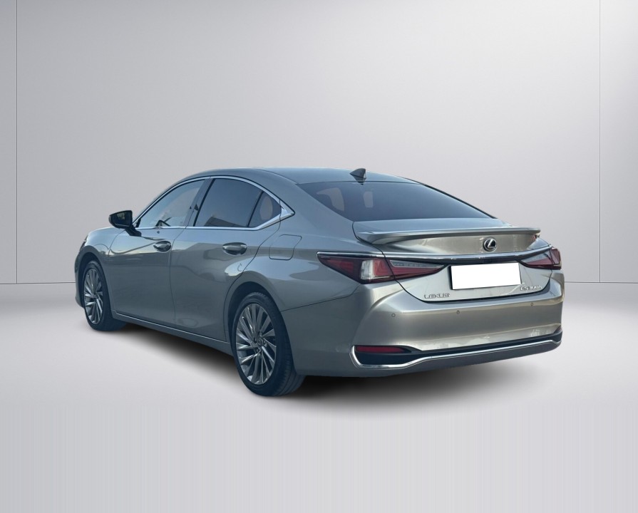 Lexus Seria ES 300h Omotenashi - foto 6